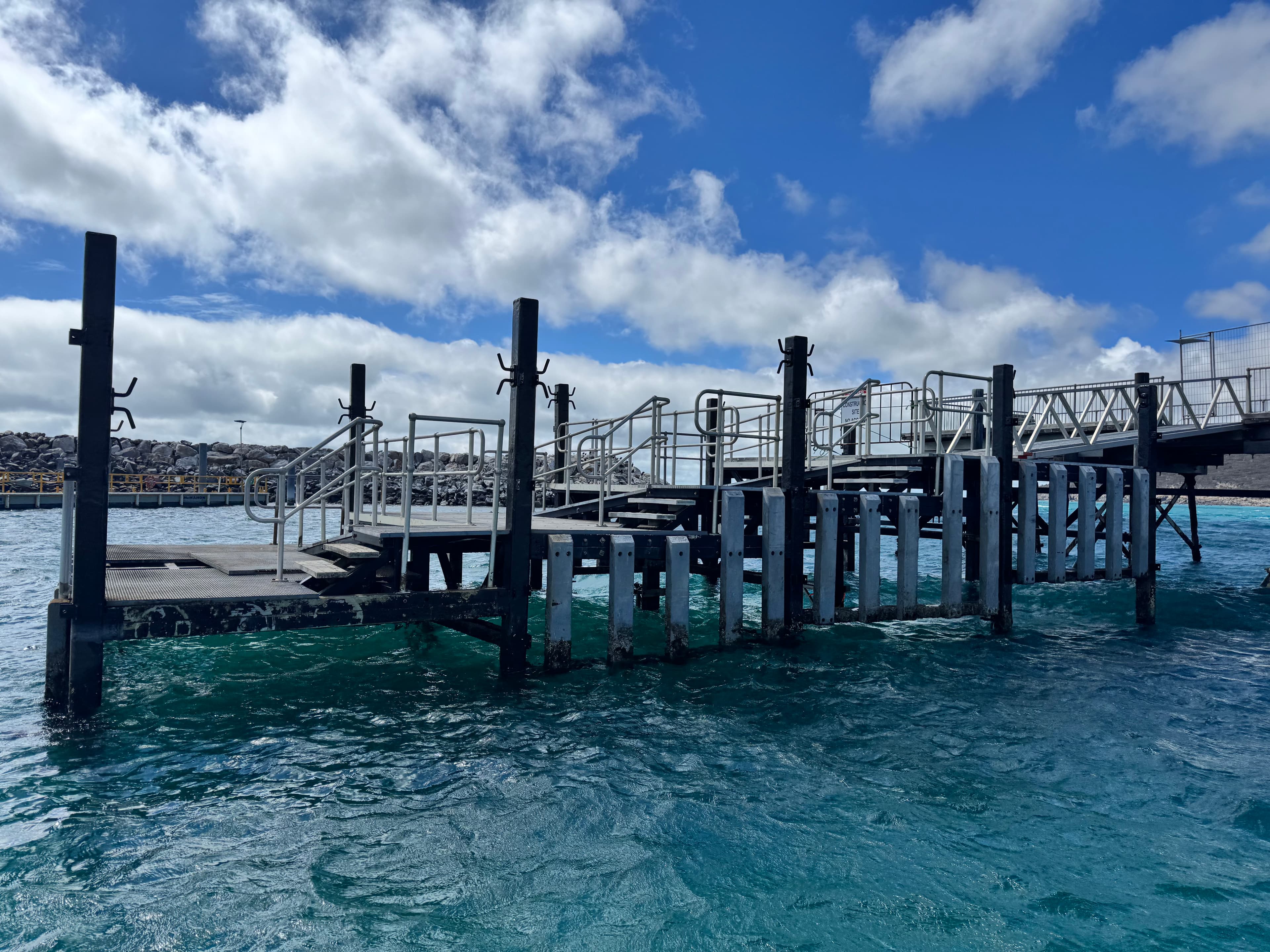 Marine — photo 8