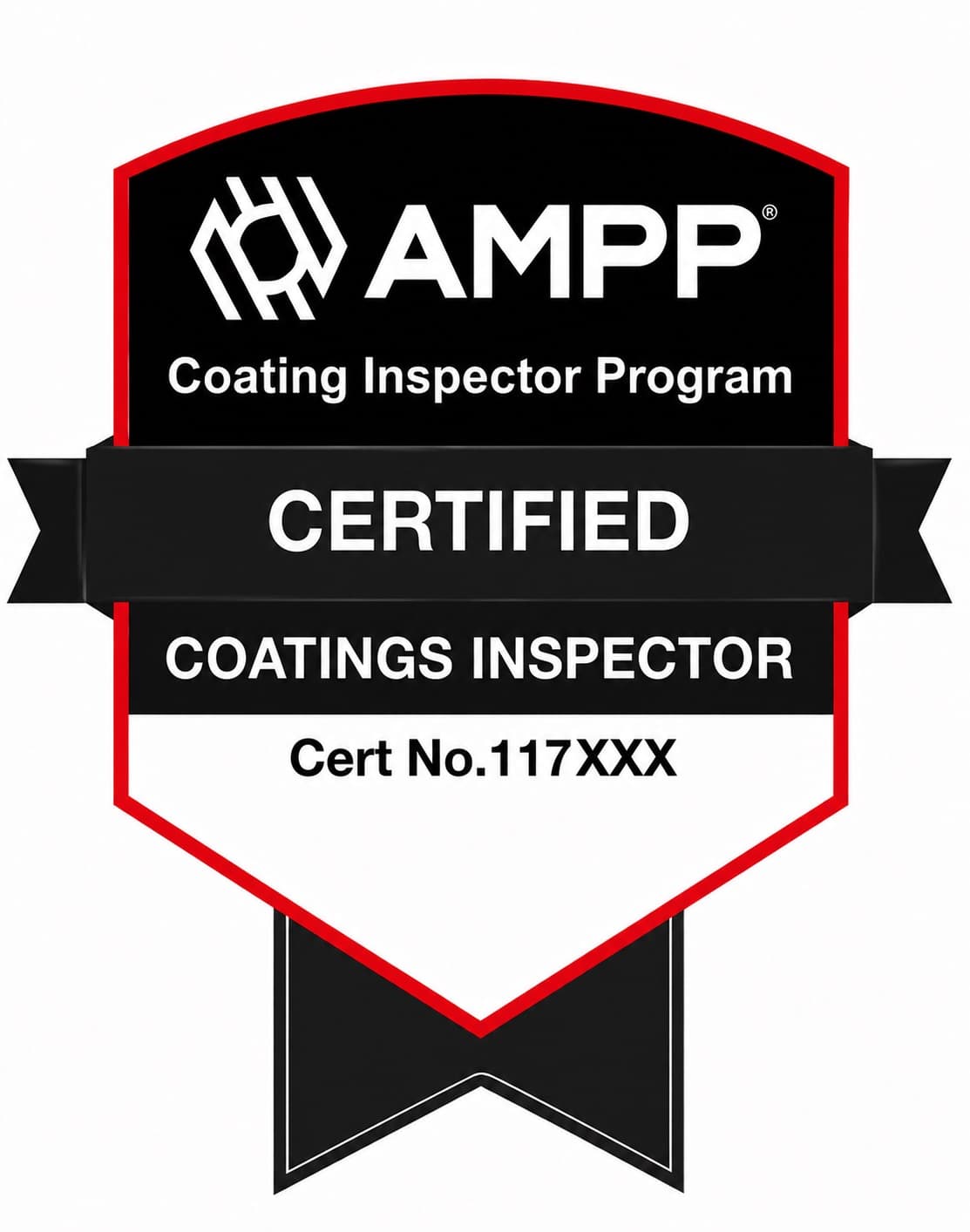 Certified Coatings Inspector